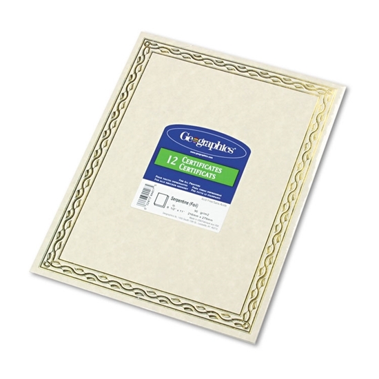 Foil Stamped Award Certificates with Gold Serpentine Border, 12/Pack