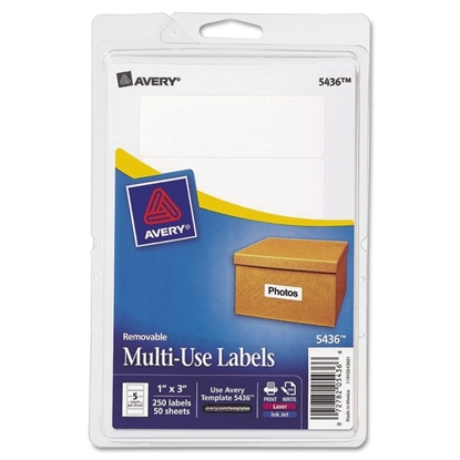 Removable Multi-Use Labels, 250/Pack, 1 x 3