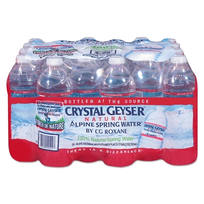 Alpine Spring Water, 16.9 oz Bottle